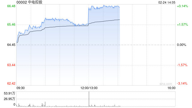 中电控股公布2024年业绩 股东应占溢利117.42亿港元同比增长76.44%